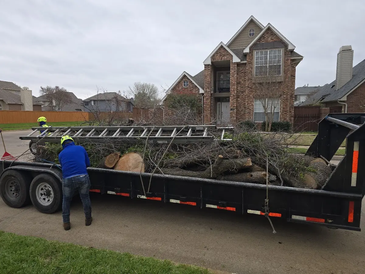 Expert Tree Fertilization with proper safety equipment in Glen Richey